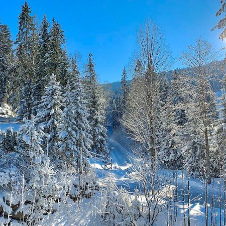 Apartament Haus Widmann Scheffau am Wilden Kaiser Zewnętrze zdjęcie