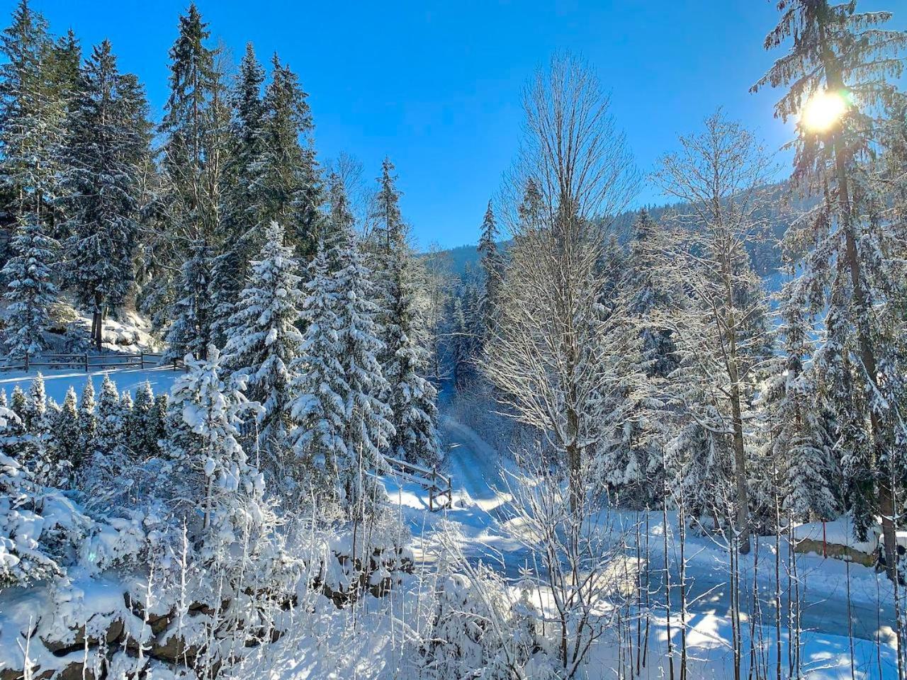 Apartament Haus Widmann Scheffau am Wilden Kaiser Zewnętrze zdjęcie
